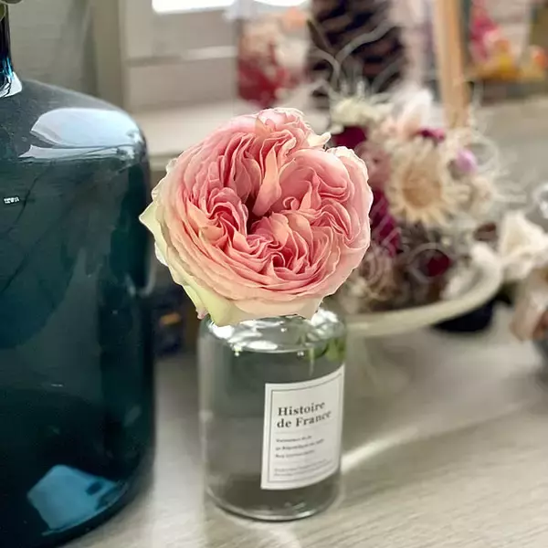 「お花を飾って日々を華やかに。ダイソーのフラワーベースがある暮らし」の画像