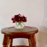 「お花を飾って日々を華やかに。ダイソーのフラワーベースがある暮らし」の画像3