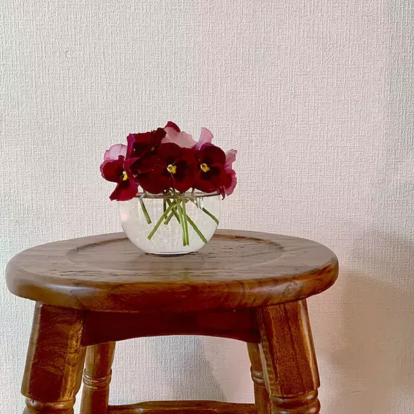 「お花を飾って日々を華やかに。ダイソーのフラワーベースがある暮らし」の画像