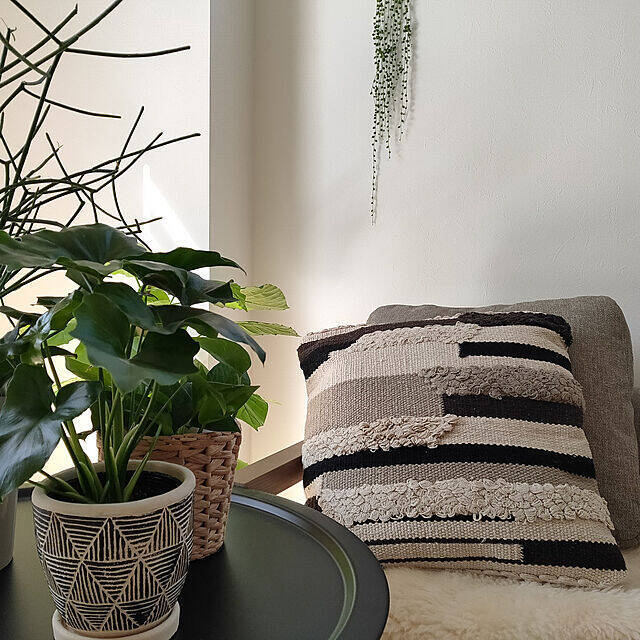 インテリアのアクセントになる♪お気に入りのクッションがある暮らし