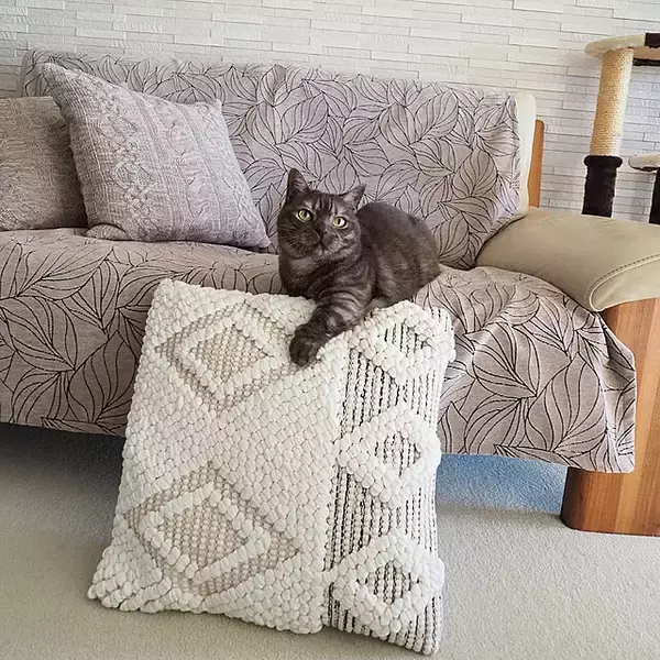 「インテリアのアクセントになる♪お気に入りのクッションがある暮らし」の画像