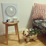 「空気が潤い乾燥する季節も快適に♪お部屋を加湿する上手な方法」の画像10