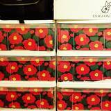 「便利さとインテリア性を両立！参考にしたい衣装ケースの目隠しアイデア」の画像6