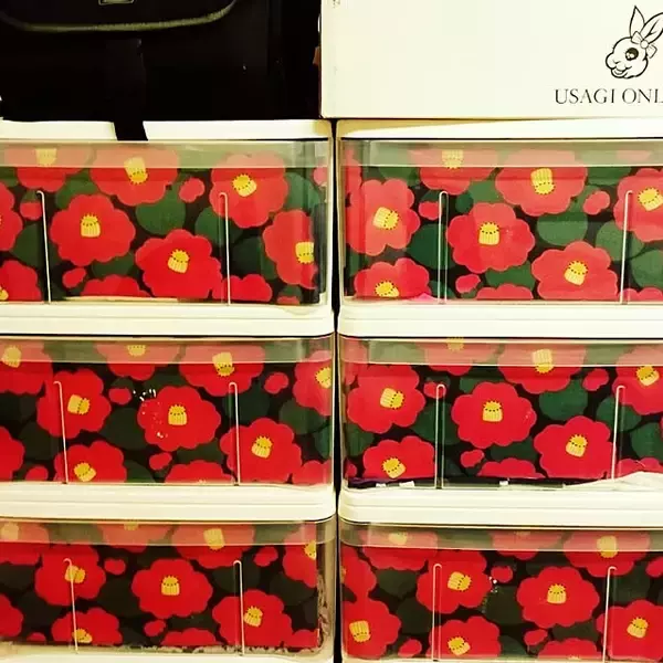 「便利さとインテリア性を両立！参考にしたい衣装ケースの目隠しアイデア」の画像