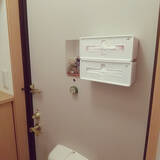 「フタを開けずに片手で取り出せる！セリアのプルアウトボックスを使った収納アイデア」の画像7