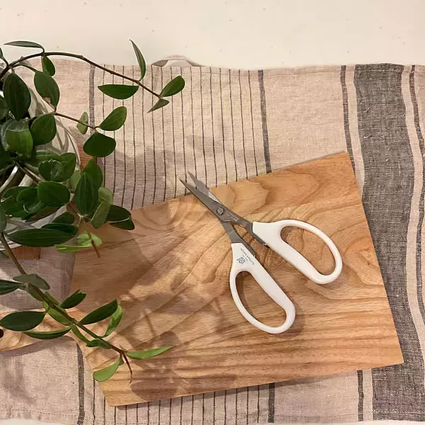 「【みんなが選んだ！】毎日の調理が変わる！買って正解のキッチンバサミ5選」の画像