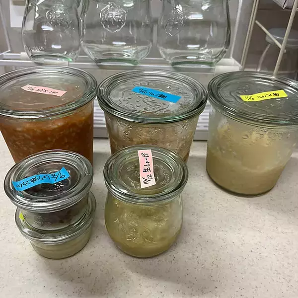 「あなたにピッタリが見つかる！用途に合わせて選べる保存容器カタログ」の画像