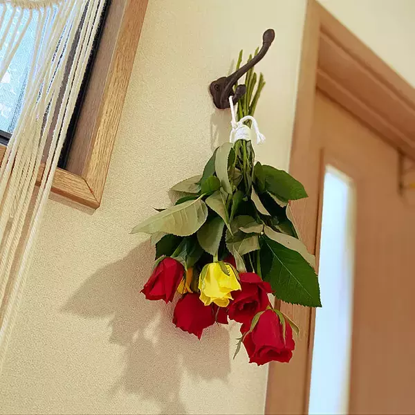 「おうちに帰るのがもっと楽しくなる♪家でできる趣味を見つけてみませんか？」の画像