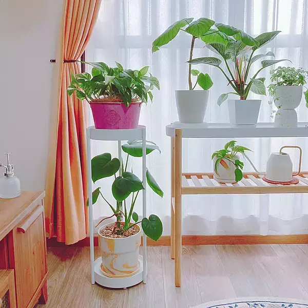 「【みんなが選んだ！】生活感を消してお部屋にスッキリ馴染んでくれる♪towerのリビングで使えるアイテム5選」の画像