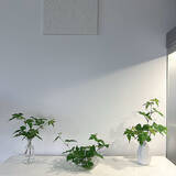 「高見えするフラワーベースを見つけた♡お花を飾るならセリアをチェック」の画像2