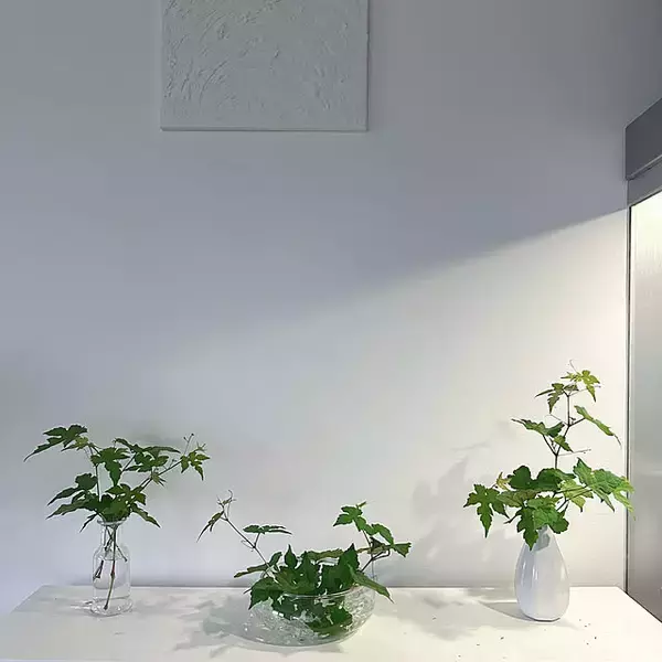 「高見えするフラワーベースを見つけた♡お花を飾るならセリアをチェック」の画像