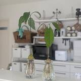 「高見えするフラワーベースを見つけた♡お花を飾るならセリアをチェック」の画像3