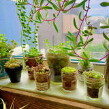 「捨てないで正解！空のジャム瓶の再利用方法アイディア」の画像7