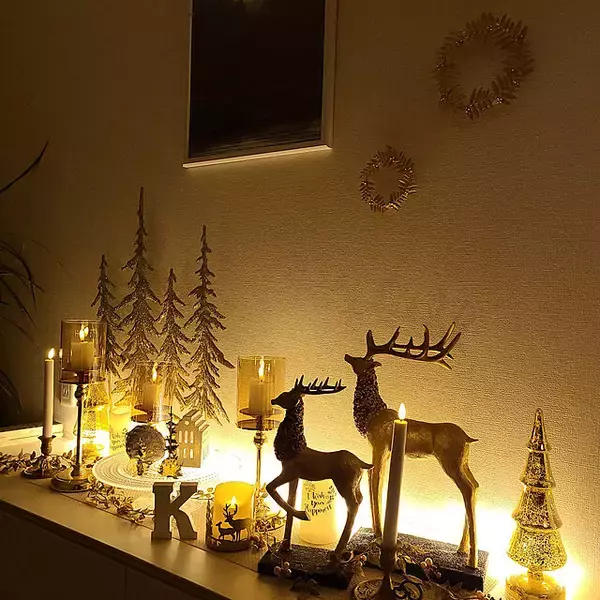 「キラキラからムードたっぷりまで♡我が家のクリスマスライトアップ特集」の画像