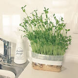 「食品以外にも使い方いろいろ☆暮らしに役立つジッパーバッグ活用法」の画像6