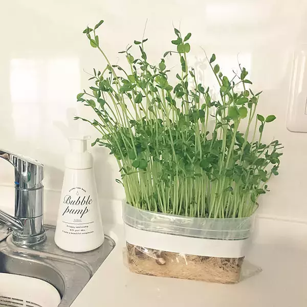 「食品以外にも使い方いろいろ☆暮らしに役立つジッパーバッグ活用法」の画像