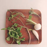 「カフェ風プレートからDIYアイデアまで♪暮らしの幅が広がる無印良品のアカシア食器を使った実例6選」の画像5