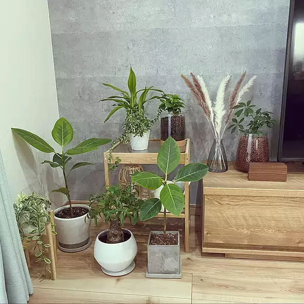 「「ゆったりすっきり、テレビ周りを整えてくれるテレビボード」 by shiho-home.さん」の画像