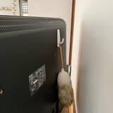 「お客様が来ても慌てない家に♪きれいなお家を保つための10のコツ」の画像3