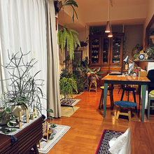 【今週の〇〇】テーマは「植物のある暮らし」！最新の投稿写真をピックアップ