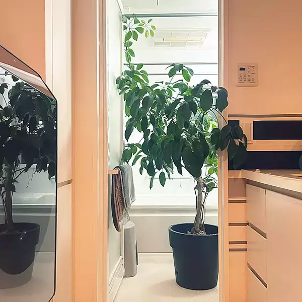 「【今週の〇〇】テーマは「植物のある暮らし」！最新の投稿写真をピックアップ」の画像