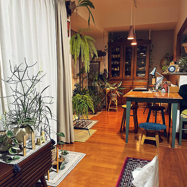 【今週の〇〇】テーマは「植物のある暮らし」！最新の投稿写真をピックアップ