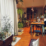 「【今週の〇〇】テーマは「植物のある暮らし」！最新の投稿写真をピックアップ」の画像5