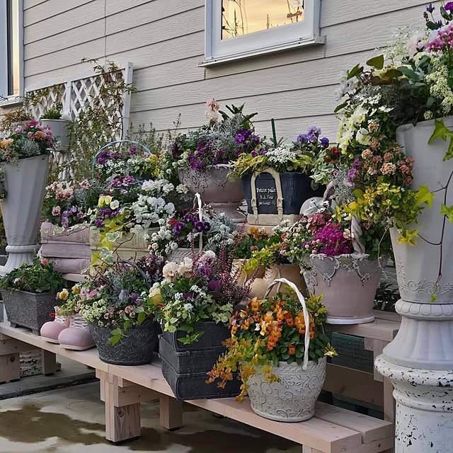 【今週の〇〇】テーマは「植物のある暮らし」！最新の投稿写真をピックアップ