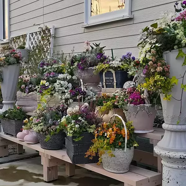 「【今週の〇〇】テーマは「植物のある暮らし」！最新の投稿写真をピックアップ」の画像