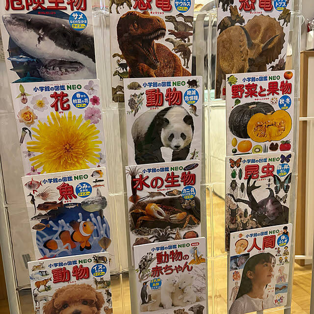 壁面を賢く活用して省スペース収納に。ウォールポケットを使った収納方法