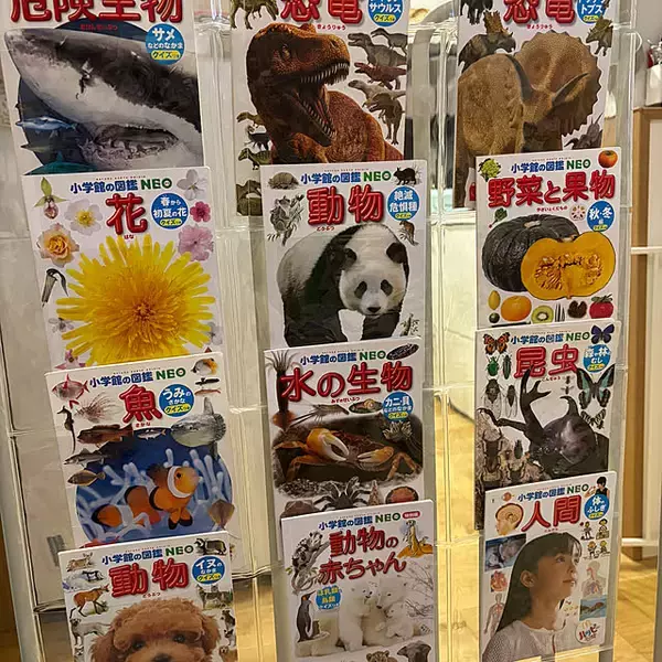 「壁面を賢く活用して省スペース収納に。ウォールポケットを使った収納方法」の画像