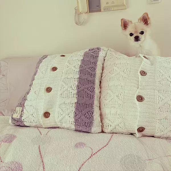 「「30m2。白とピンクでふんわり可愛い、どこを見ても幸せな部屋づくり」 by marrorinさん」の画像