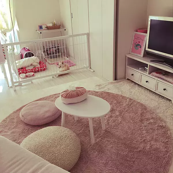 「「30m2。白とピンクでふんわり可愛い、どこを見ても幸せな部屋づくり」 by marrorinさん」の画像