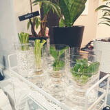 「捨てるの待って！食べ物・飲み物消費後のアレを有効活用する方法をご紹介」の画像11