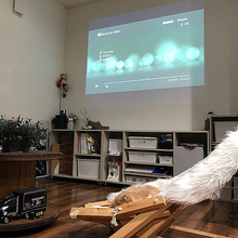 バリエーション豊富で組み合わせも自由！ニトリのNクリックで作る、お家にぴったりな家具