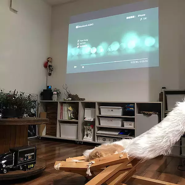 「バリエーション豊富で組み合わせも自由！ニトリのNクリックで作る、お家にぴったりな家具」の画像