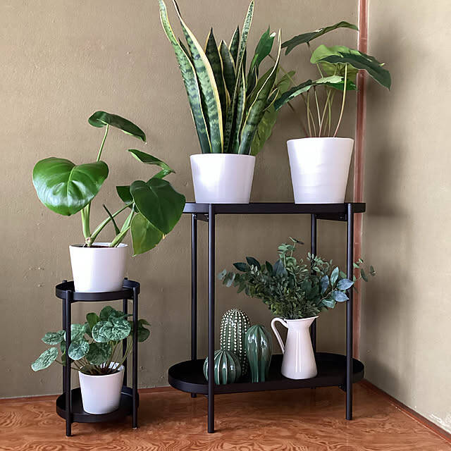 【今週の〇〇】テーマは「植物のある暮らし」！最新の投稿写真をピックアップ