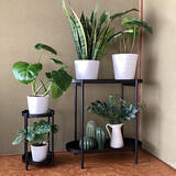 「【今週の〇〇】テーマは「植物のある暮らし」！最新の投稿写真をピックアップ」の画像3