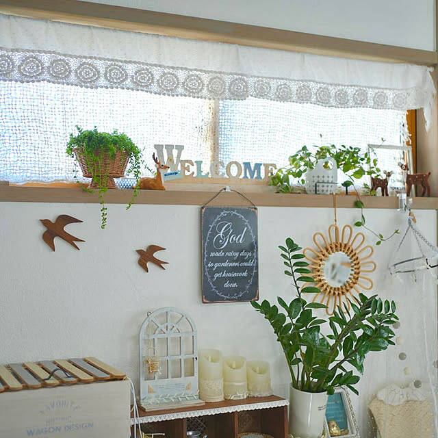 【今週の〇〇】テーマは「植物のある暮らし」！最新の投稿写真をピックアップ