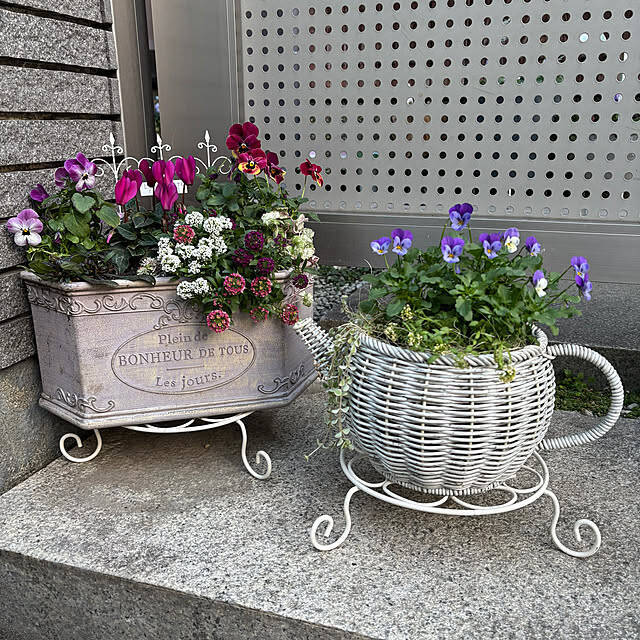 【今週の〇〇】テーマは「植物のある暮らし」！最新の投稿写真をピックアップ