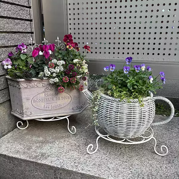 「【今週の〇〇】テーマは「植物のある暮らし」！最新の投稿写真をピックアップ」の画像