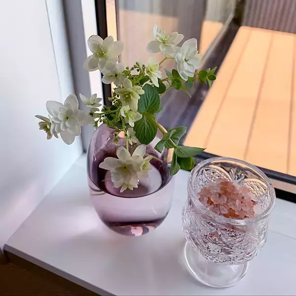 「ハッカ油を使いこなす！夏の暮らしがもっと快適になる爽快アイデア7選」の画像