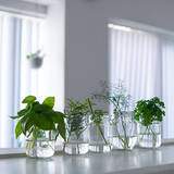 「無理せず自然体のまま暮らしをスリム化！お家の中で変えたら節約になったこと10選」の画像5