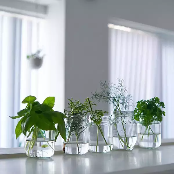 「無理せず自然体のまま暮らしをスリム化！お家の中で変えたら節約になったこと10選」の画像