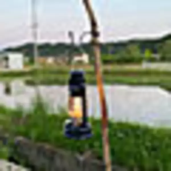 「快適な使い方が盛りだくさん！4.5畳のお部屋の使い方やレイアウト実例」の画像