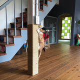 「ペットも大事な家族♡人もペットも快適に過ごせるリビングの風景」の画像2