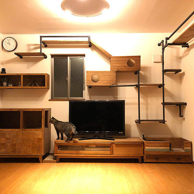 ペットも大事な家族♡人もペットも快適に過ごせるリビングの風景