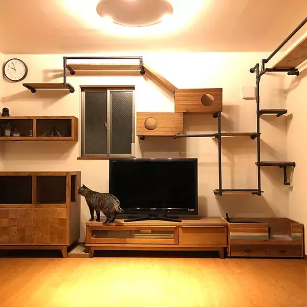 「ペットも大事な家族♡人もペットも快適に過ごせるリビングの風景」の画像