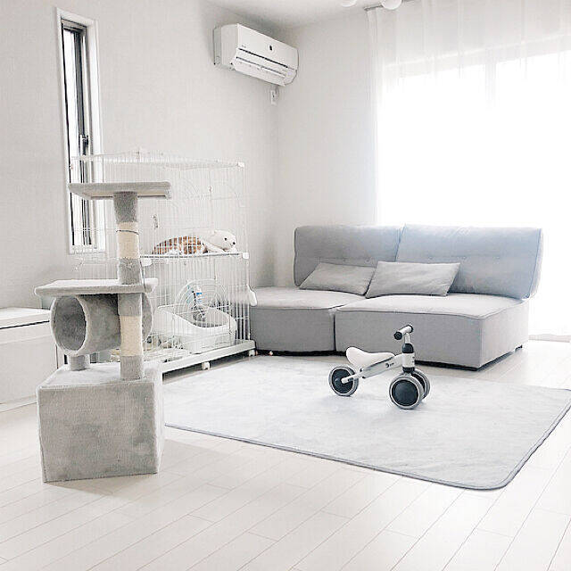 ペットも大事な家族♡人もペットも快適に過ごせるリビングの風景