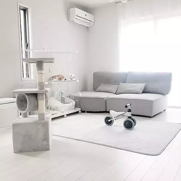 「ペットも大事な家族♡人もペットも快適に過ごせるリビングの風景」の画像